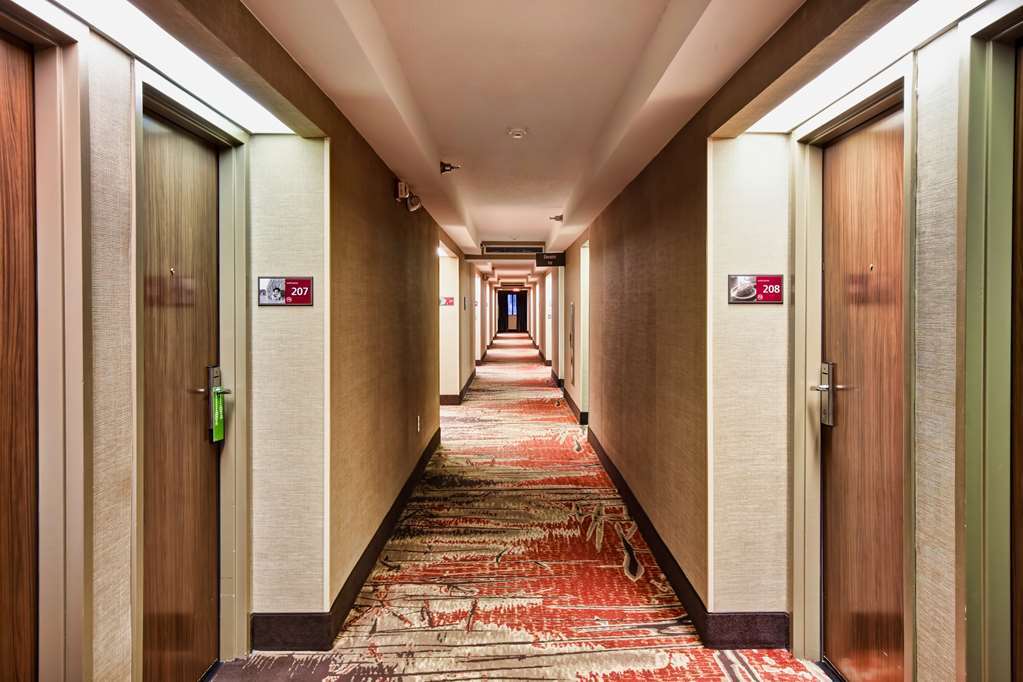 Hampton Inn Старквилл Интерьер фото